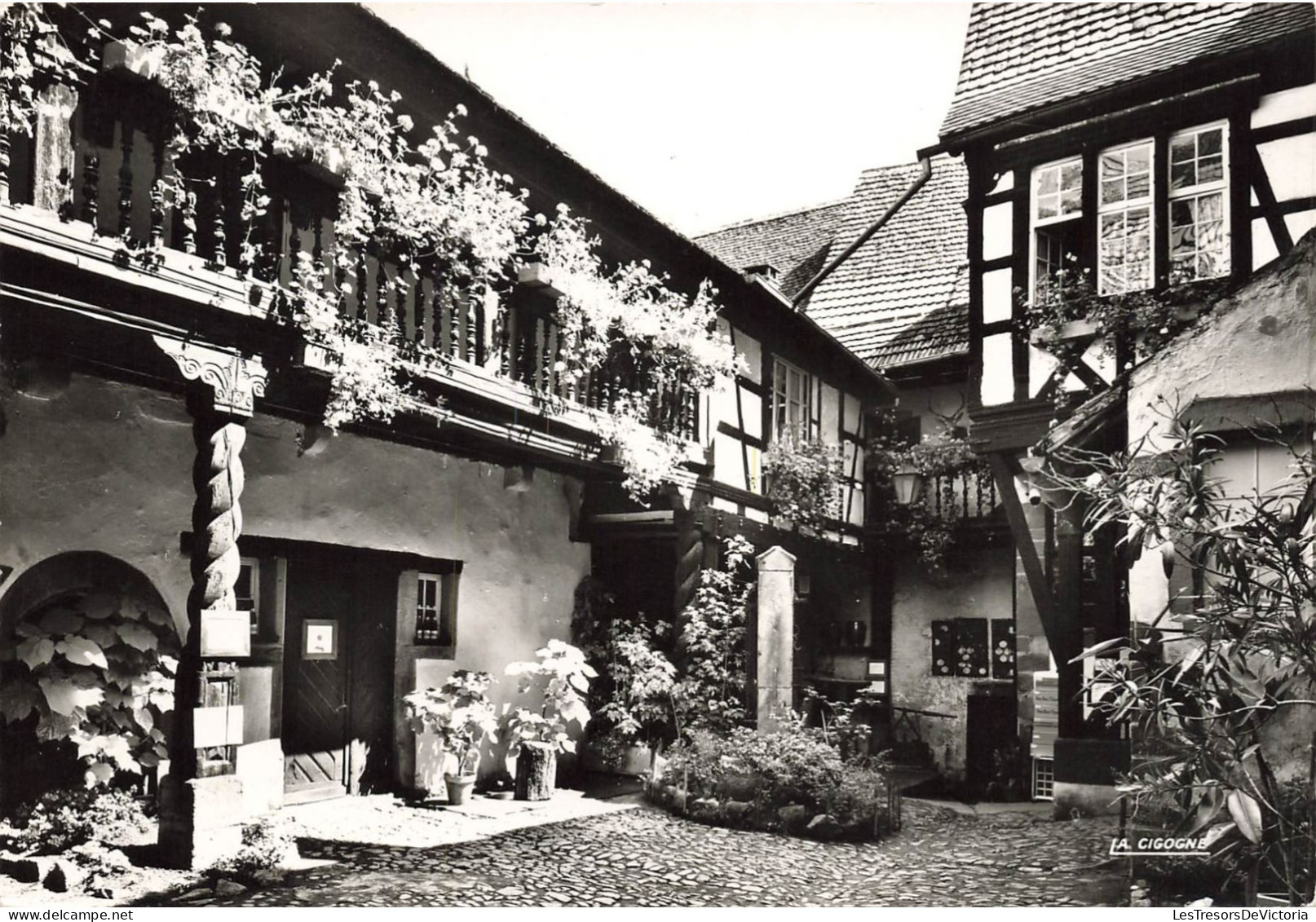 FRANCE - Riquewihr - Vue Sur La Cour Ds Cigognes - Carte Postale Ancienne - Riquewihr