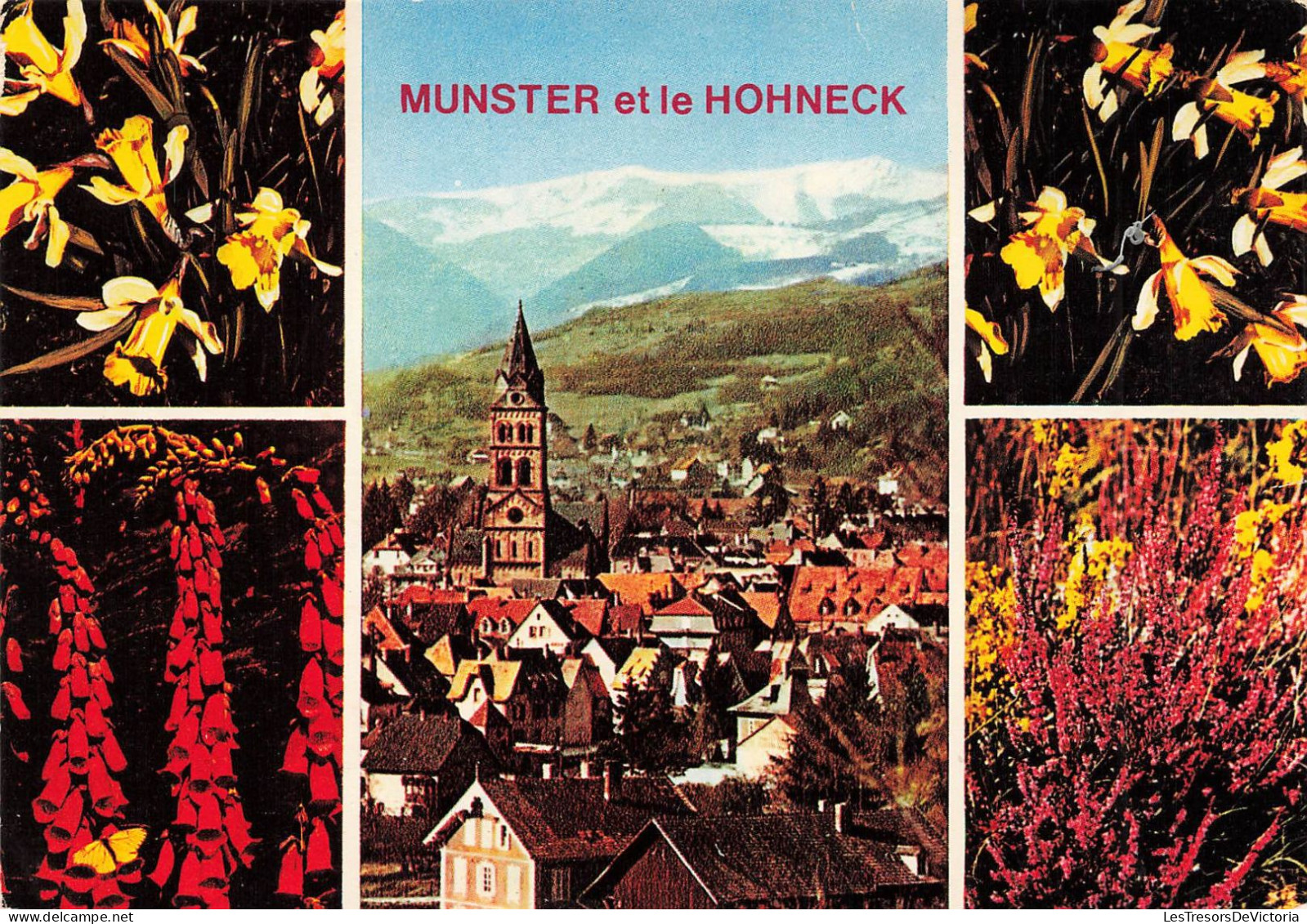 FRANCE - Munster Et Le Honneck - Vue Panoramique De La Ville - Colorisé - Carte Postale - Munster