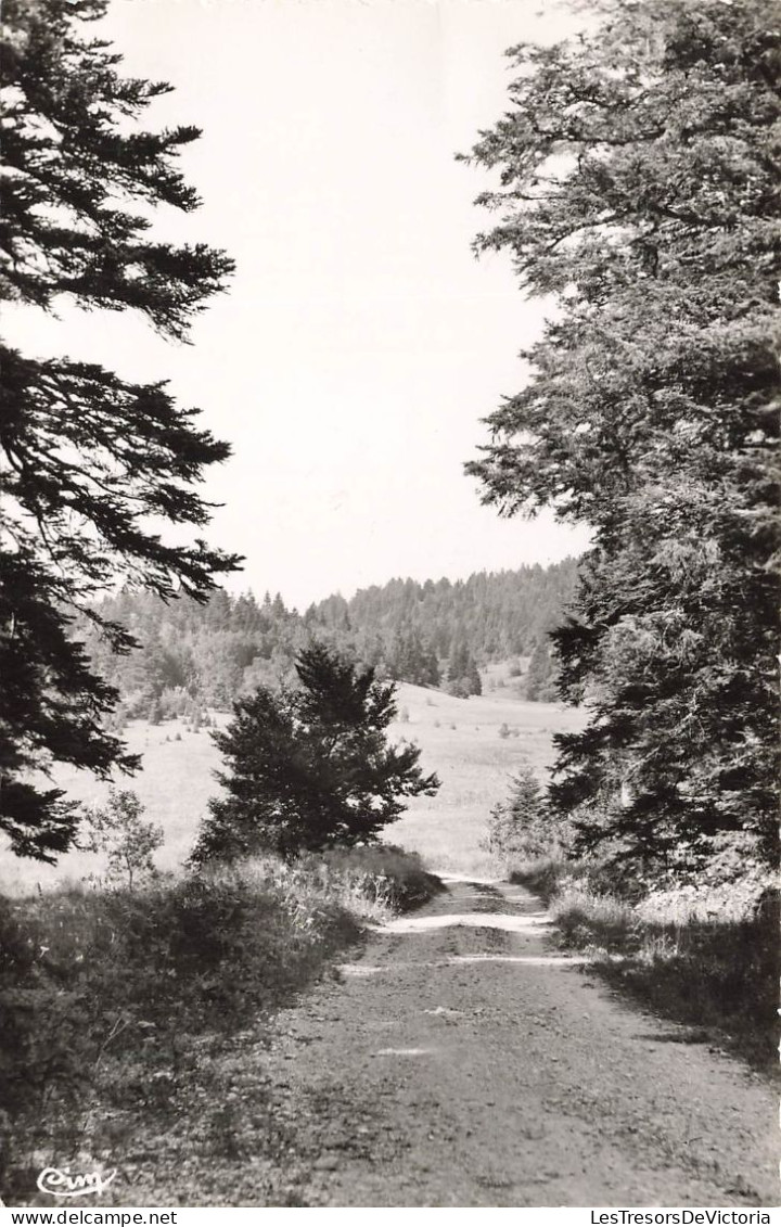 FRANCE - Hautes Lompnes - Paysage Auc Col De La Rochette - Carte Postale - Hauteville-Lompnes