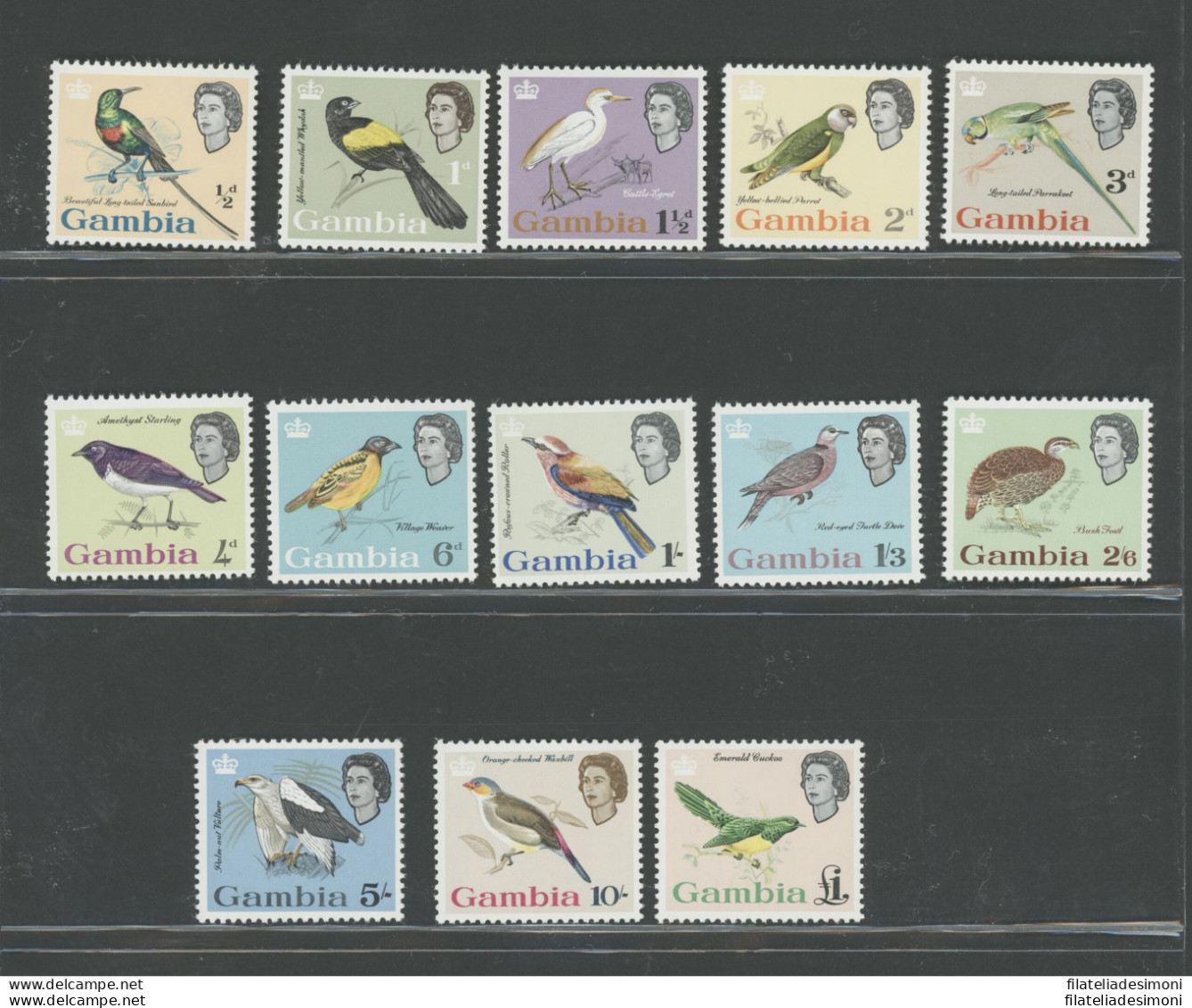 1963 Gambia - Stanley Gibbons N. 193-205 - Regina Elisabetta II - Uccelli - Serie Di 13 Valori - MNH** - Sonstige & Ohne Zuordnung