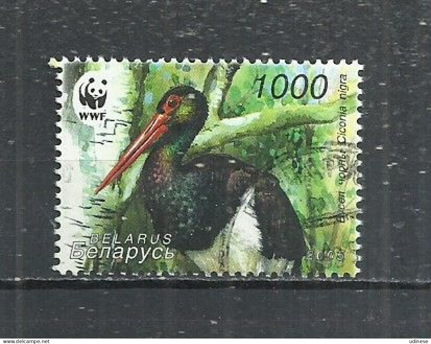 BELARUS 2005 - WWF - CICONIA NIGRA - POSTALLY USED OBLITERE GESTEMPELT USADO - Usati