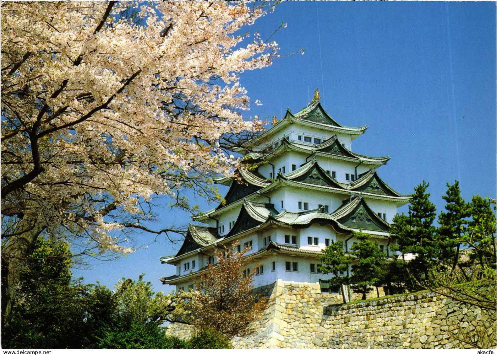 CPM Nagoya Castle Cherry Blossoms JAPAN (1185648) - Nagoya