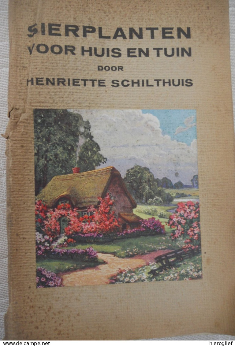 SIERPLANTEN VOOR HUIS EN TUIN Door Henriette Schilthuis  1924 Meulenhoff / Kamerplanten Planten Bloemen - Prácticos