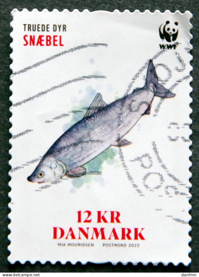 Denmark 2022  WWF   Minr.    (lot K 336) - Gebruikt