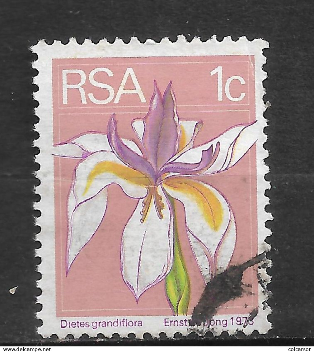 AFRIQUE DU SUD N°  359  " Orchidée " - Usados