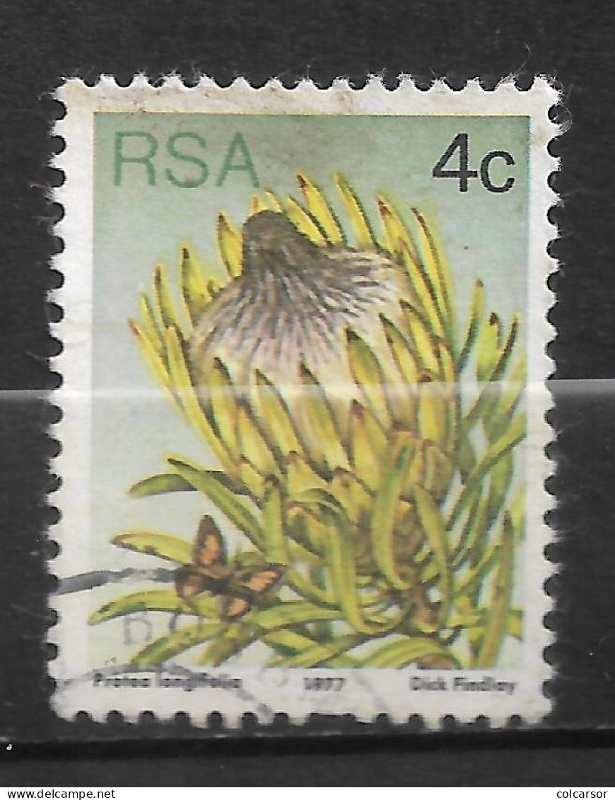 AFRIQUE DU SUD N°  419  " CACTUS " - Used Stamps