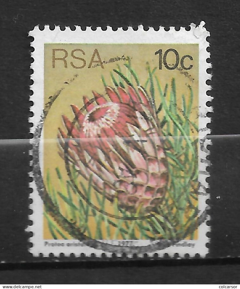 AFRIQUE DU SUD N°  425  " CACTUS " - Used Stamps