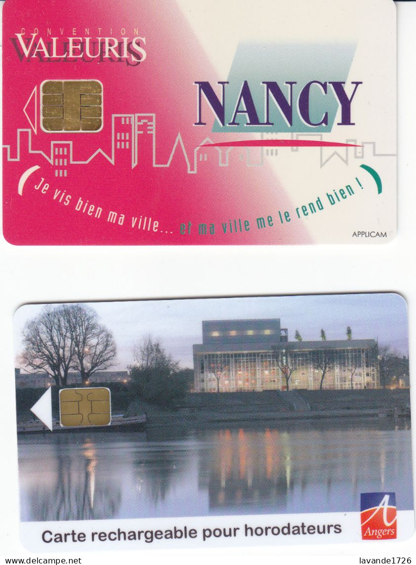 Lot De 2 Cartes De Stationnement Horodateur Nancy Et Angers - Parkkarten