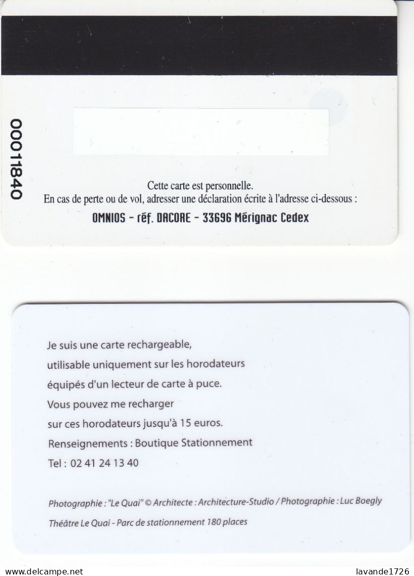 Lot De 2 Cartes De Stationnement Horodateur Nancy Et Angers - PIAF Parking Cards