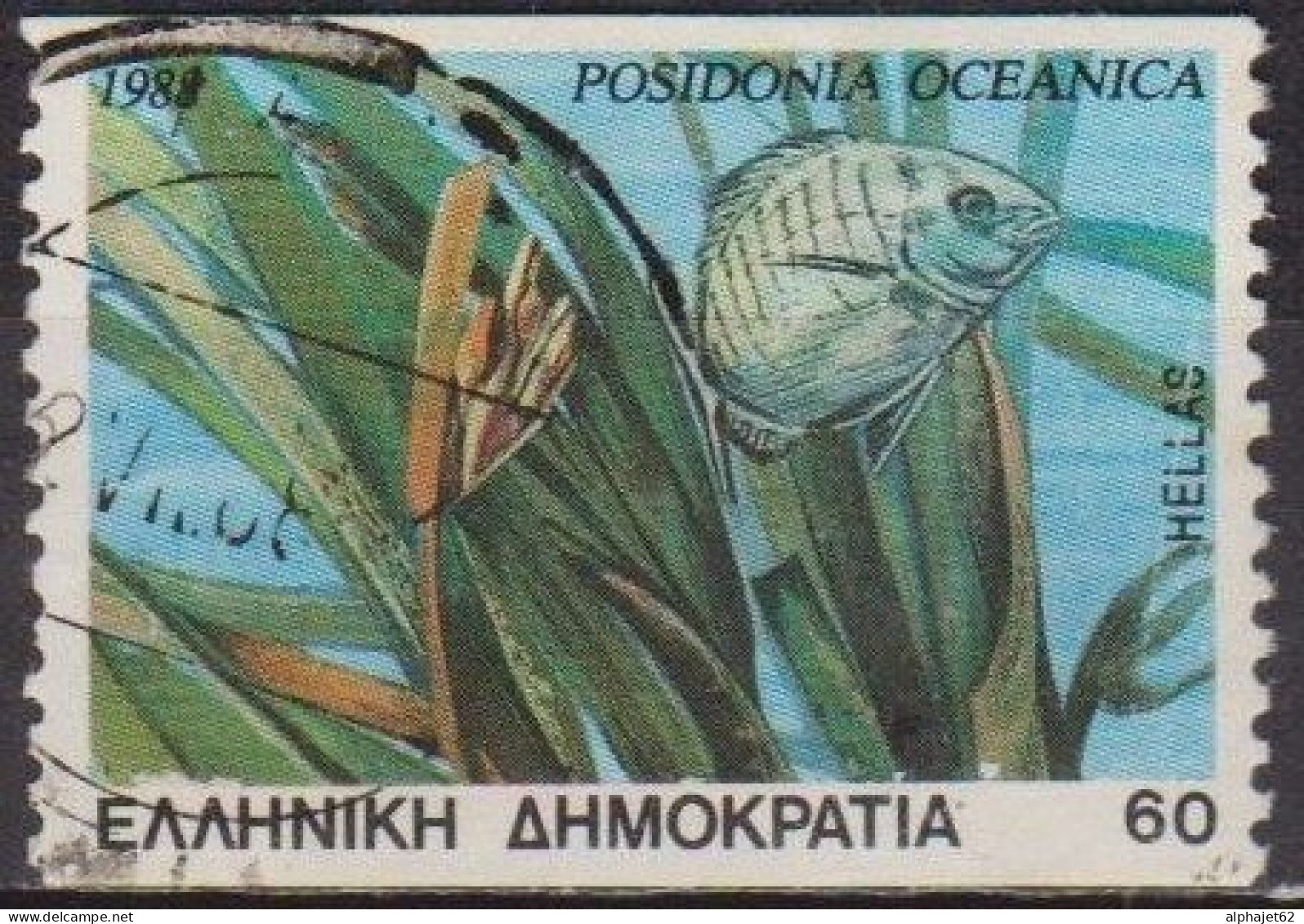 Poisson, Posidonie - GRECE - Faune, Flore - N° 1663 - 1988 - Used Stamps