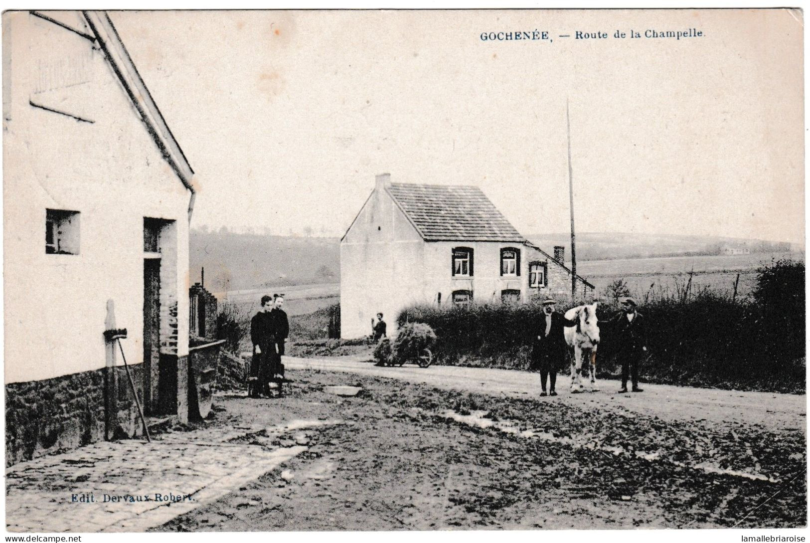 Belgique, Gochenée, Route De La Champelle - Doische