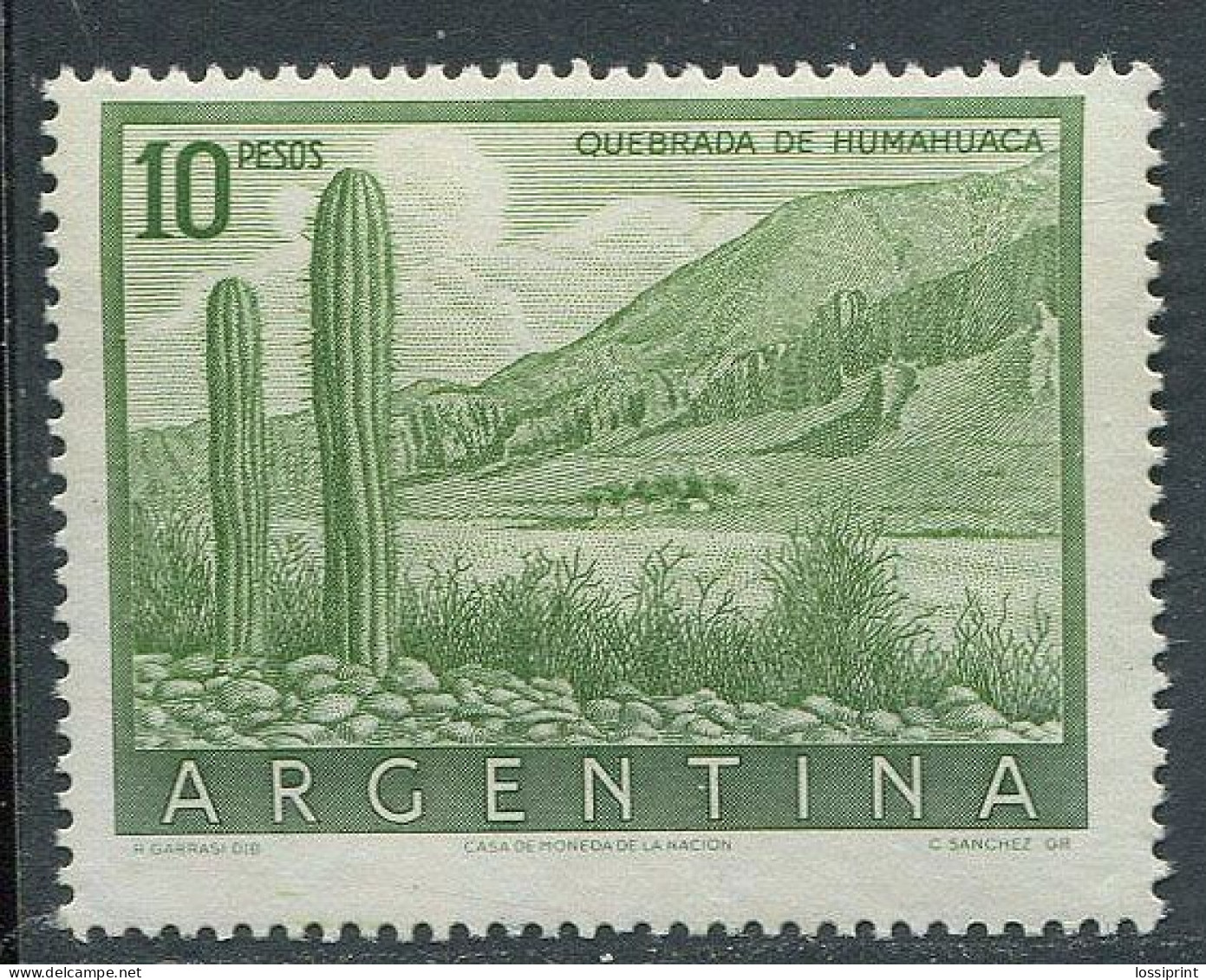 Argentina:Unused Stamp Cactuses, 195?, MNH - Cactus