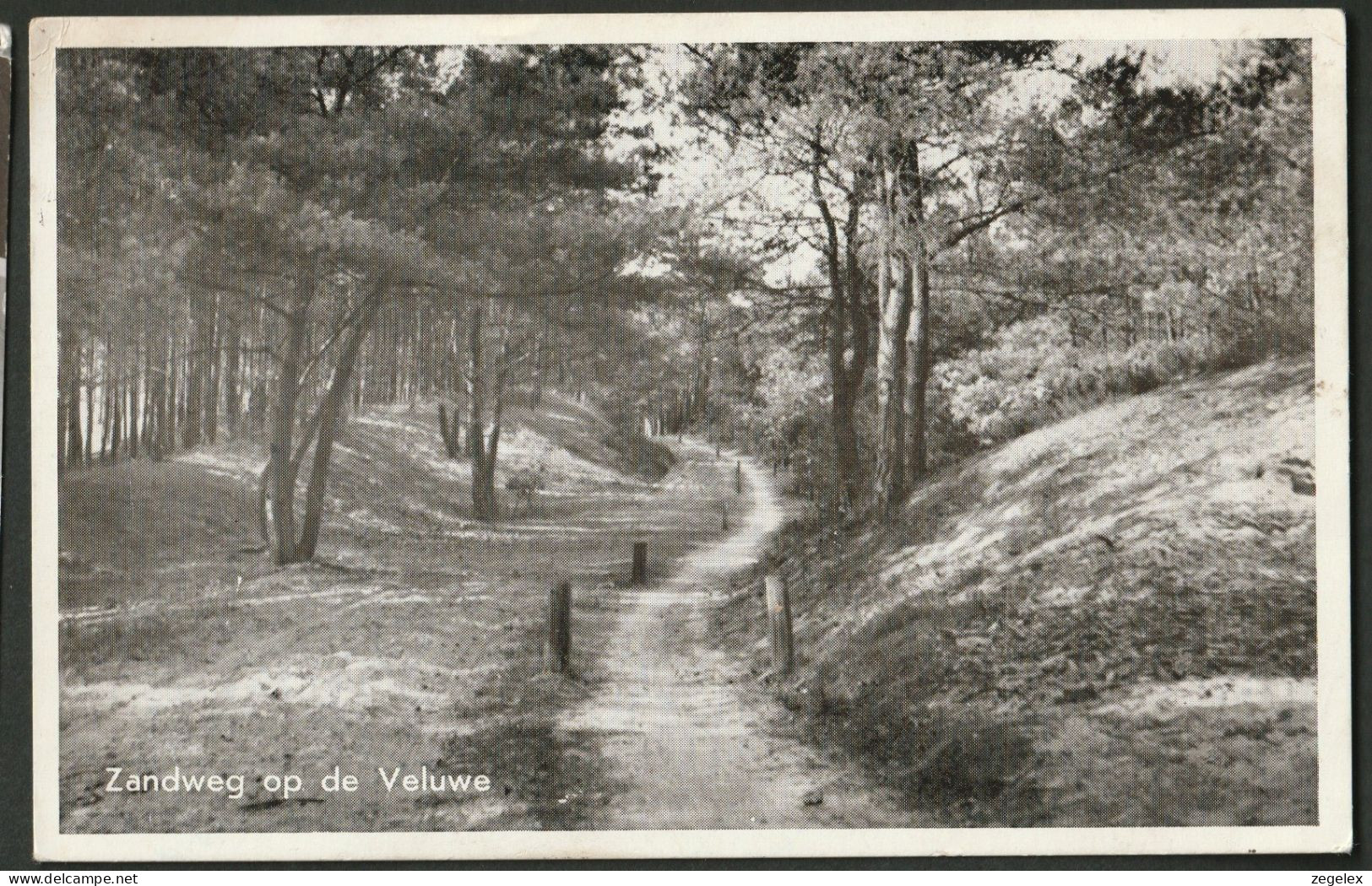 Veluwe - Zandweg - Putten