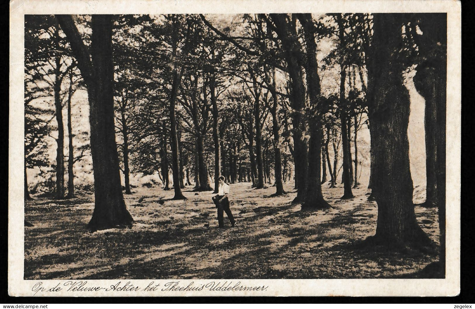 Veluwe - Achter Het Theehuis Uddelmeer Met Wandelaar 1940 - Ede