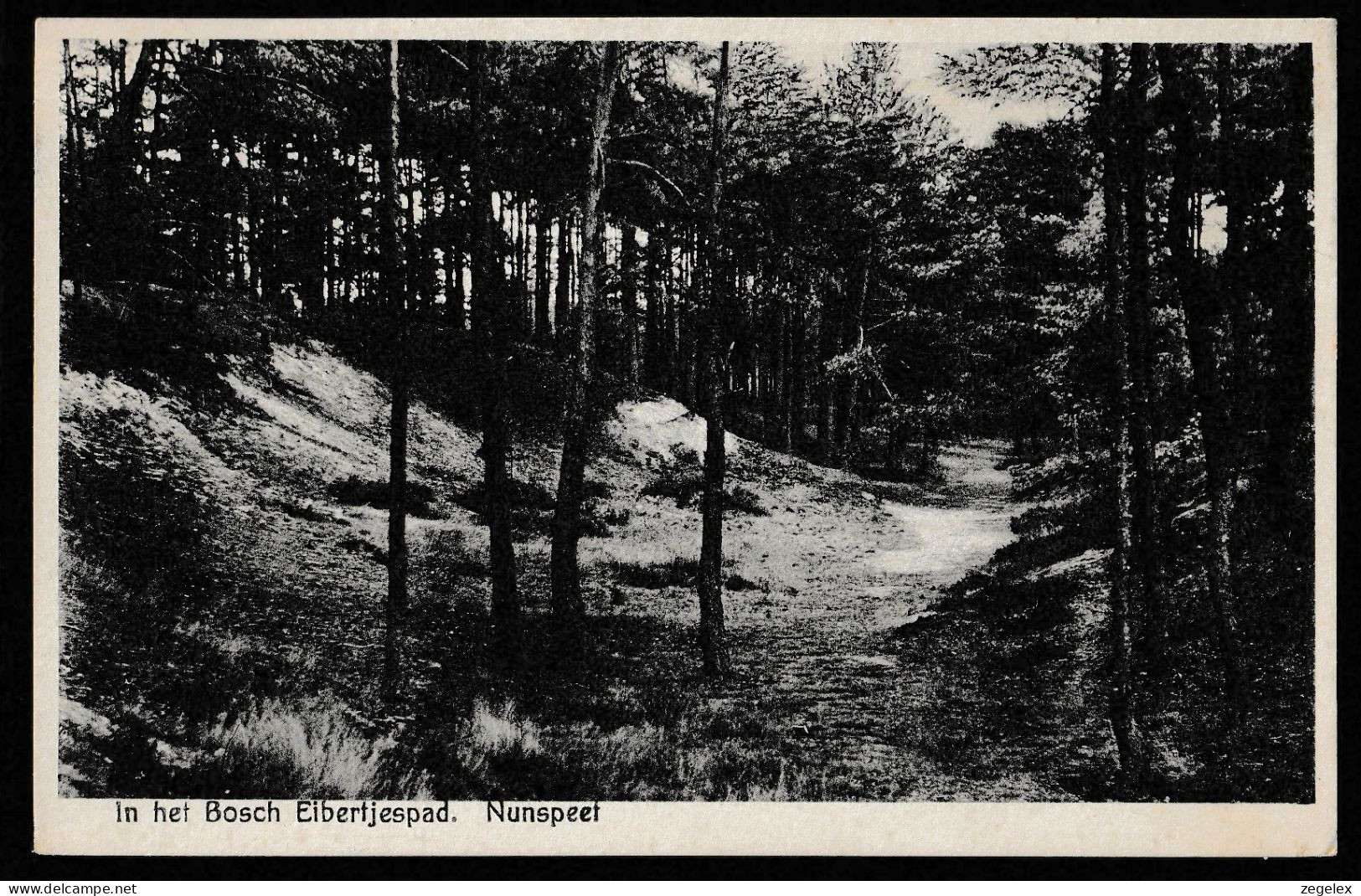 Nunspeet - In Het Bosch Eibertjespad. 1934 - Nunspeet