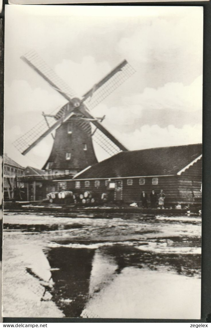 Wormer - Verfmolen "De Beer" Gesloopt In 1897 Met Werknemers. Windmill For Paintproduction - Wormerveer