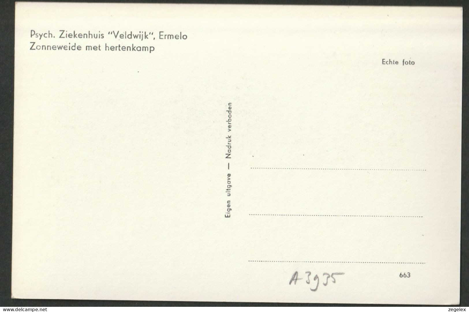 Ermelo. Ziekenhuis "Veldwijk" - Zonneweide Met Hertenkamp - Ermelo