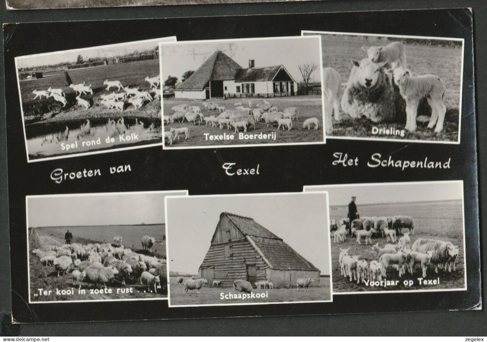 Texel - Boerderij - Farmhouse, Schaapskooi - Texel