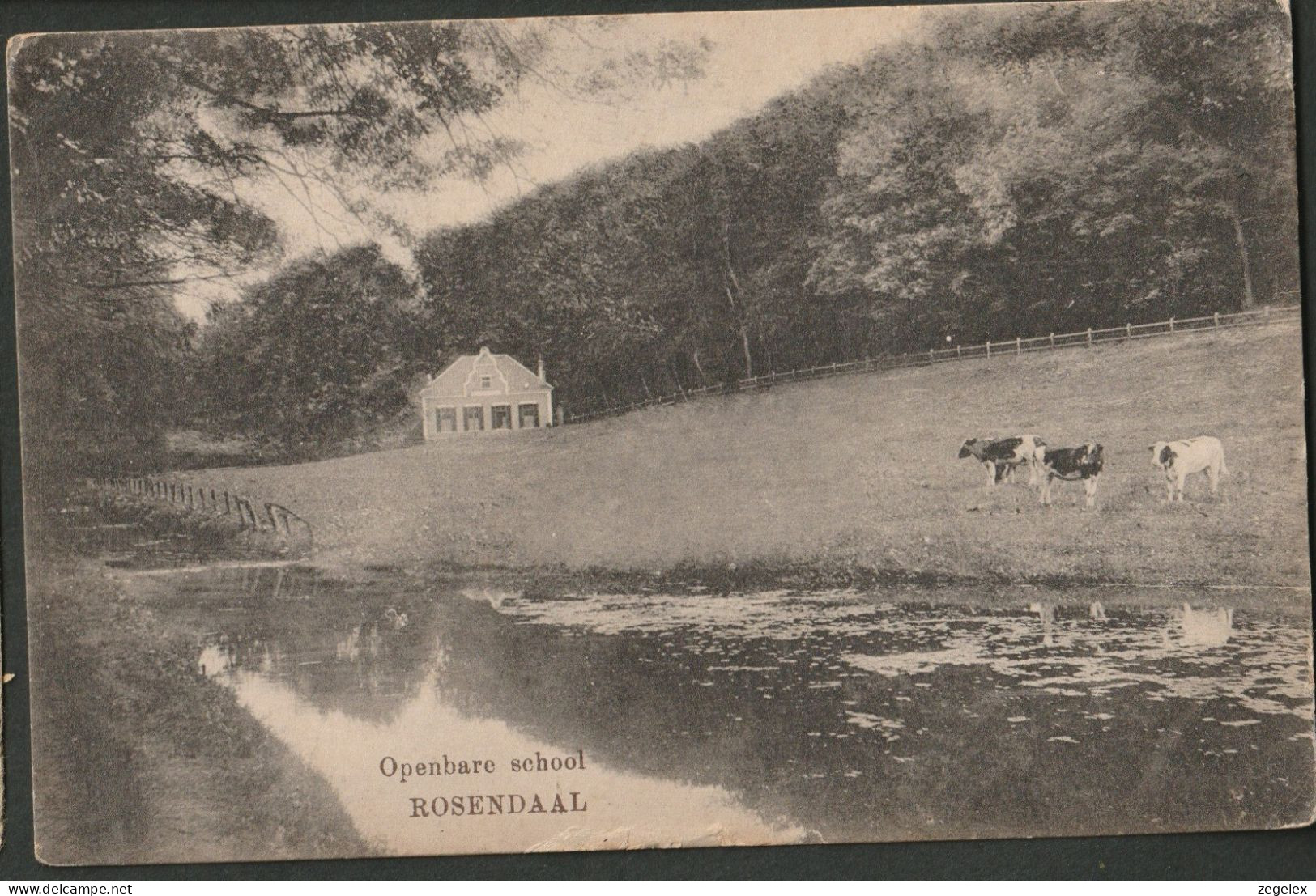 Rosendaal - Openbare School Met Koeien 1921 - Velp / Rozendaal