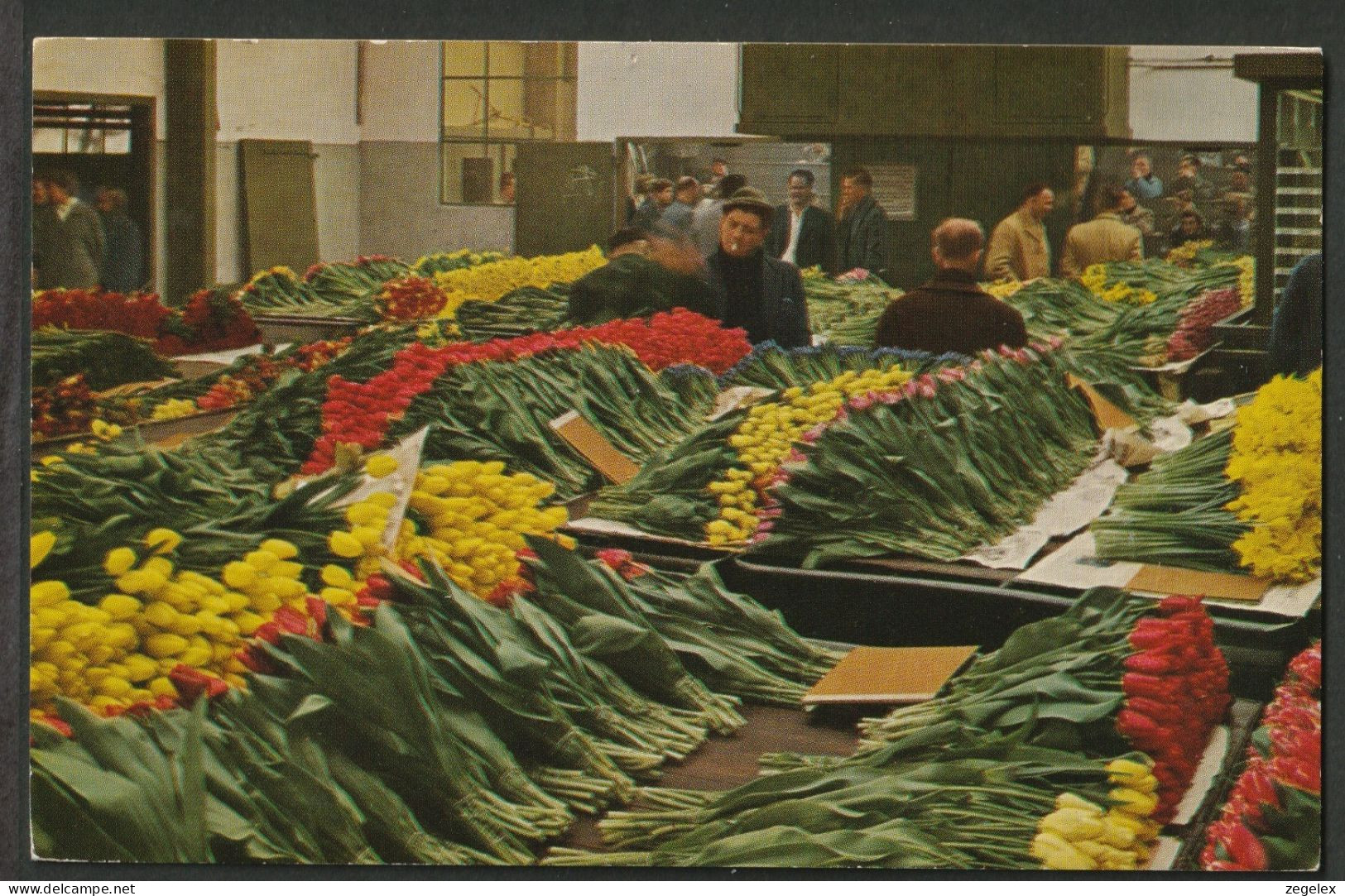 Aalsmeer - Bloemenveiling In Bedrijf Met Handelaren 1979 - Tulpen, Flowers, Tulips, Tulipani - Aalsmeer