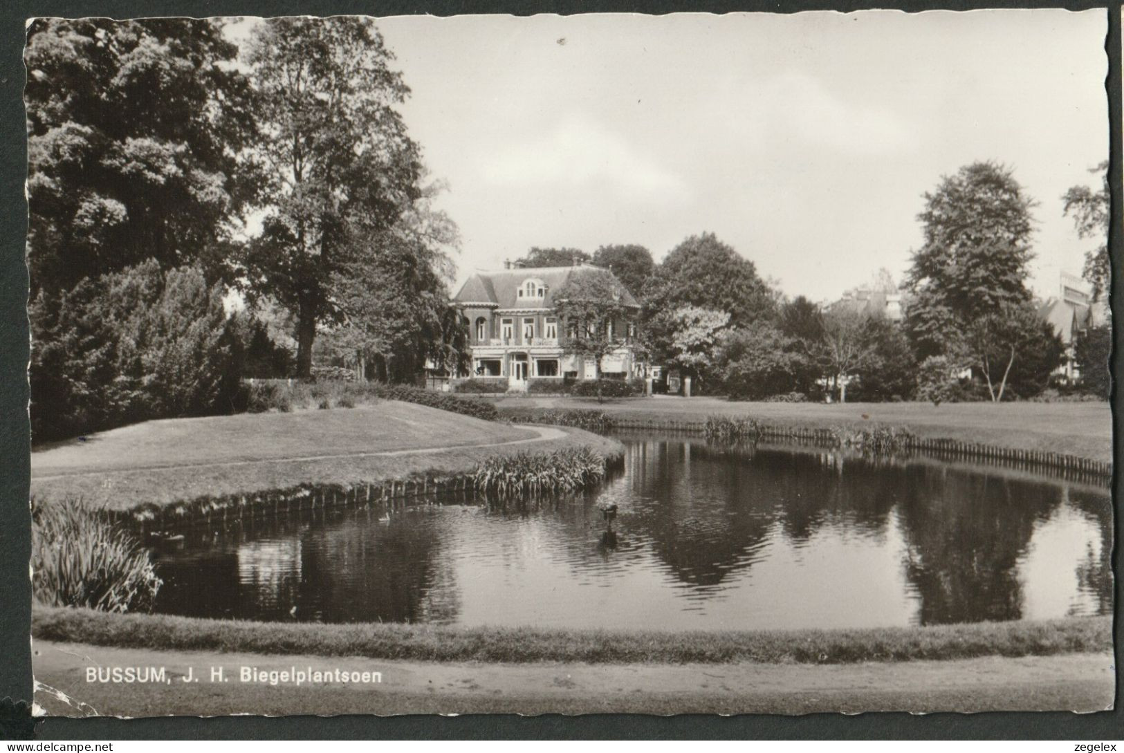 Bussum - J.H. Biegelplantsoen - Bussum