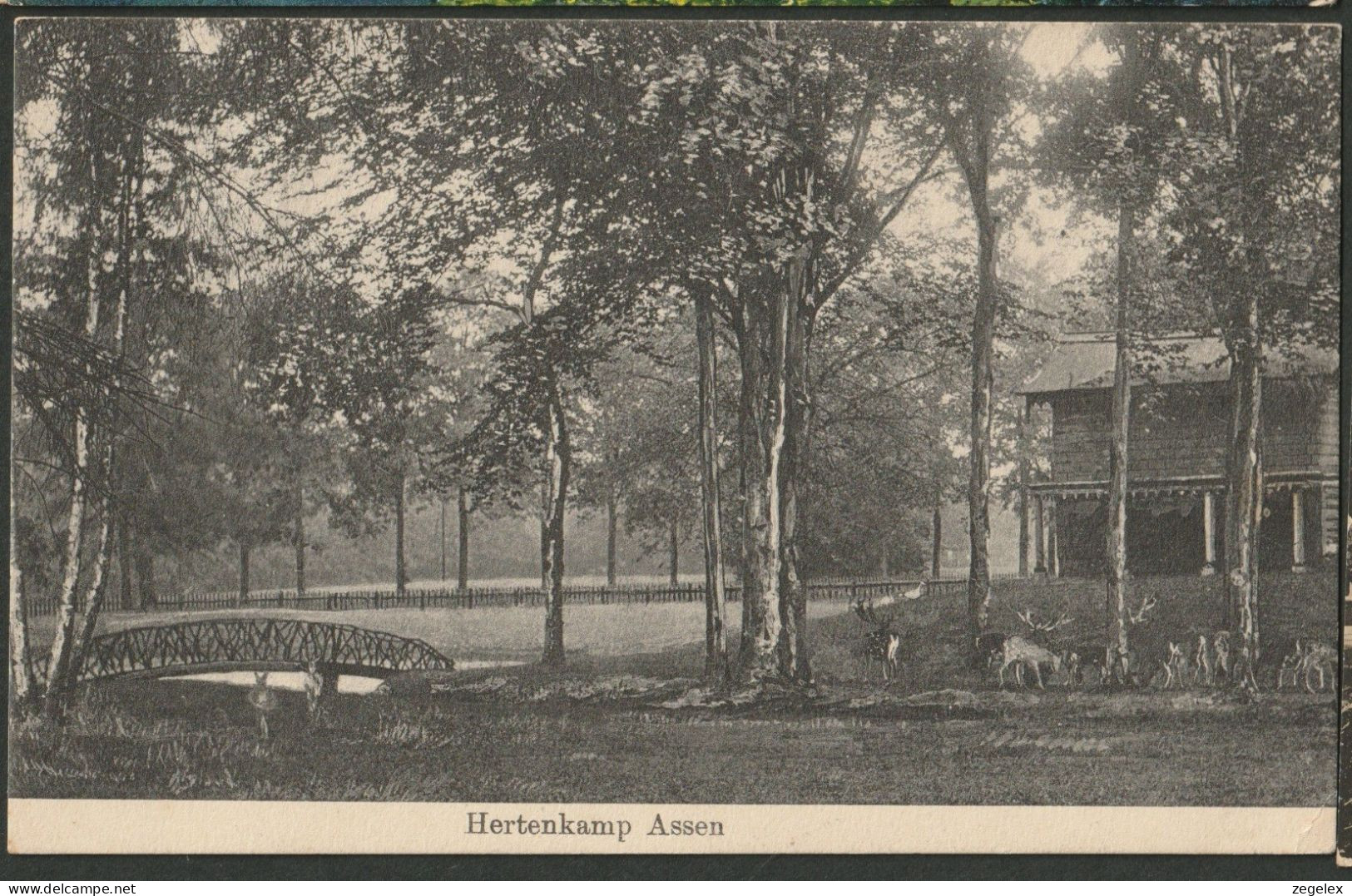 Assen 1913 - Hertenkamp - Assen