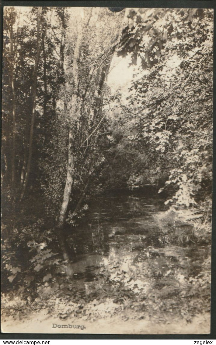 Domburg 1917 - Bos Beekje - Domburg