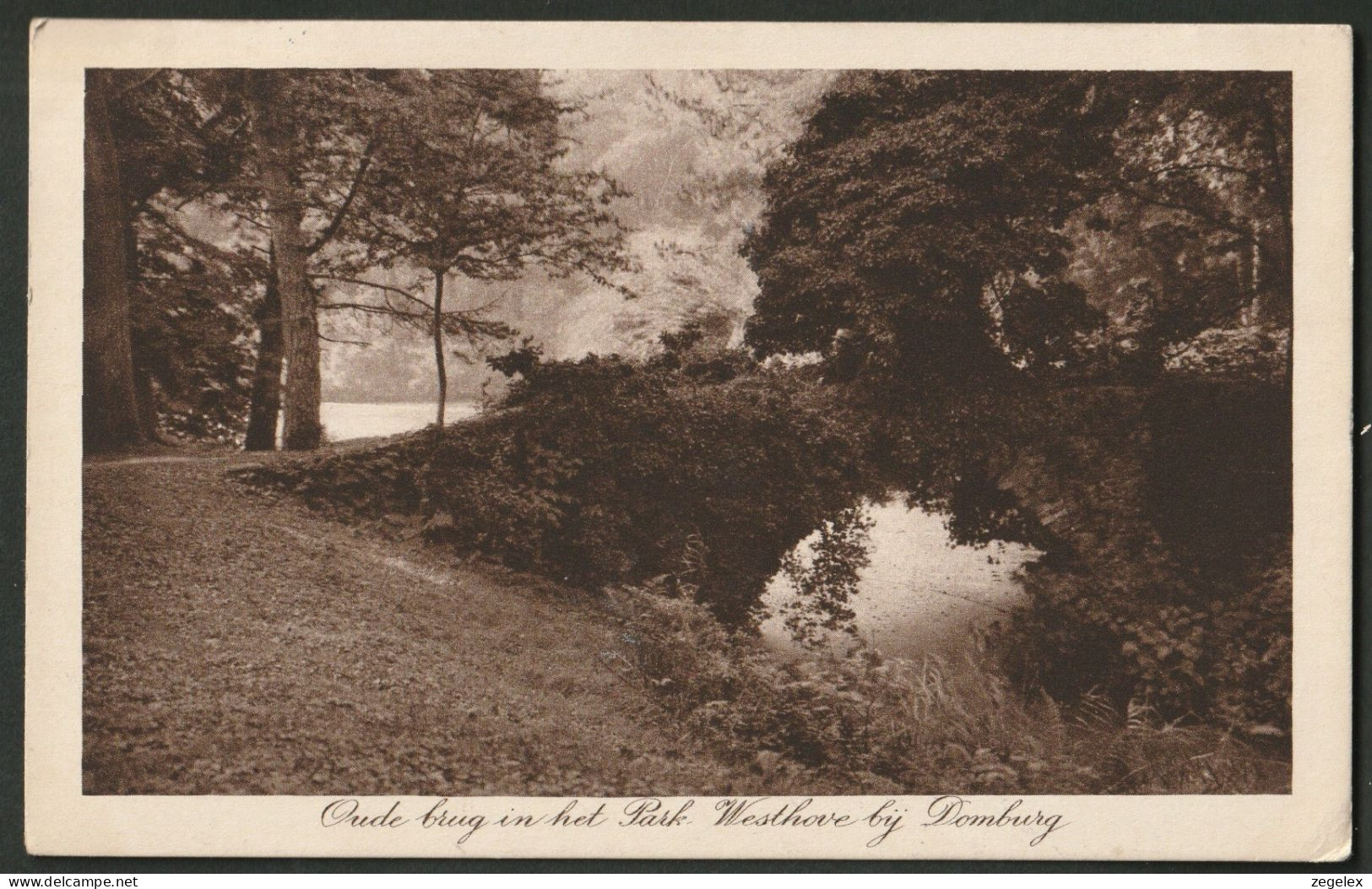 Domburg 1917 - Oude Brug In Het Park Westhove - Domburg