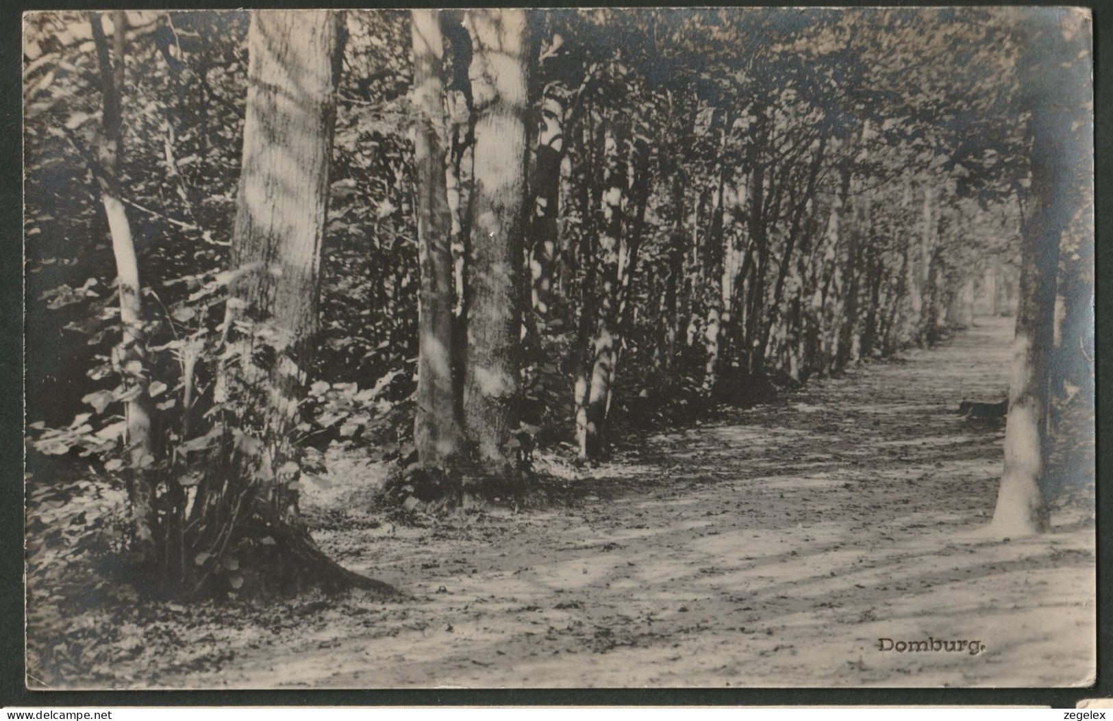 Domburg 1917 - Weg Door Het Bos - Domburg