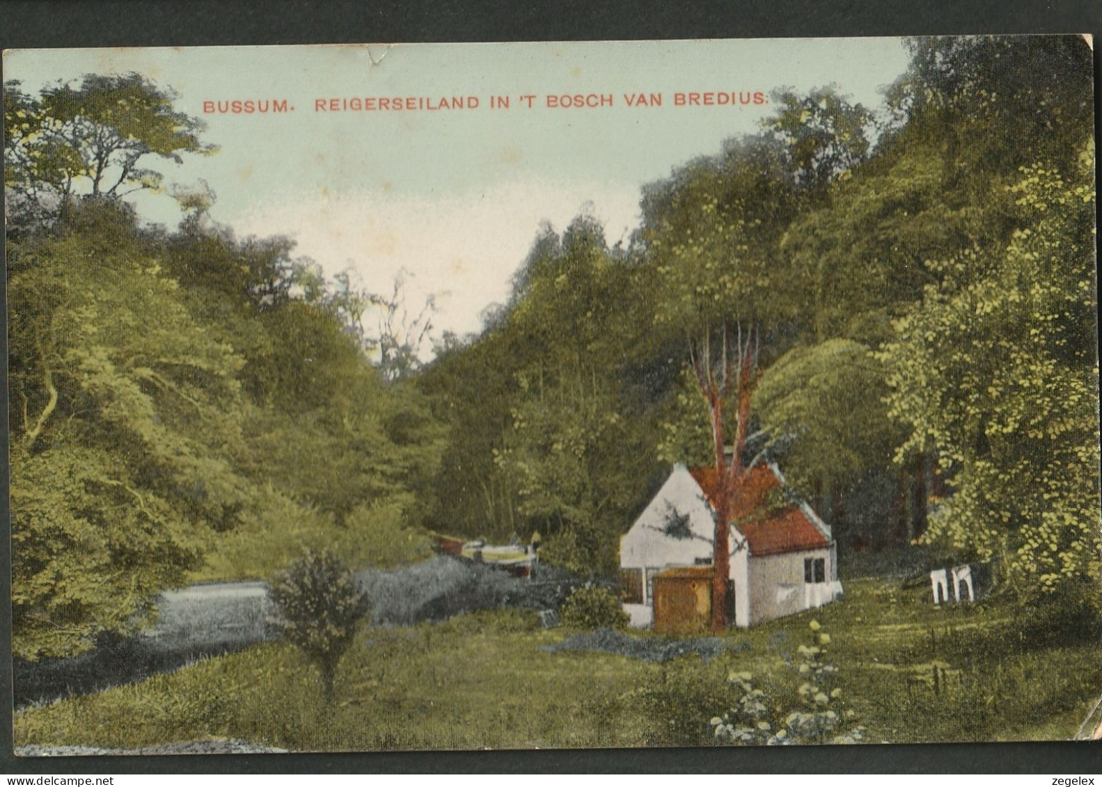 Bussum 1909 - Reigerseiland In Het Bos Van Bredius - De Lange Onderbroeken Aan De Waslijn - Bussum