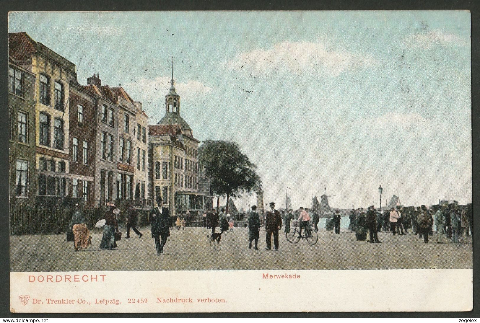 Dordrecht 1906 - Merwekade - Levendig. Molen - Dordrecht