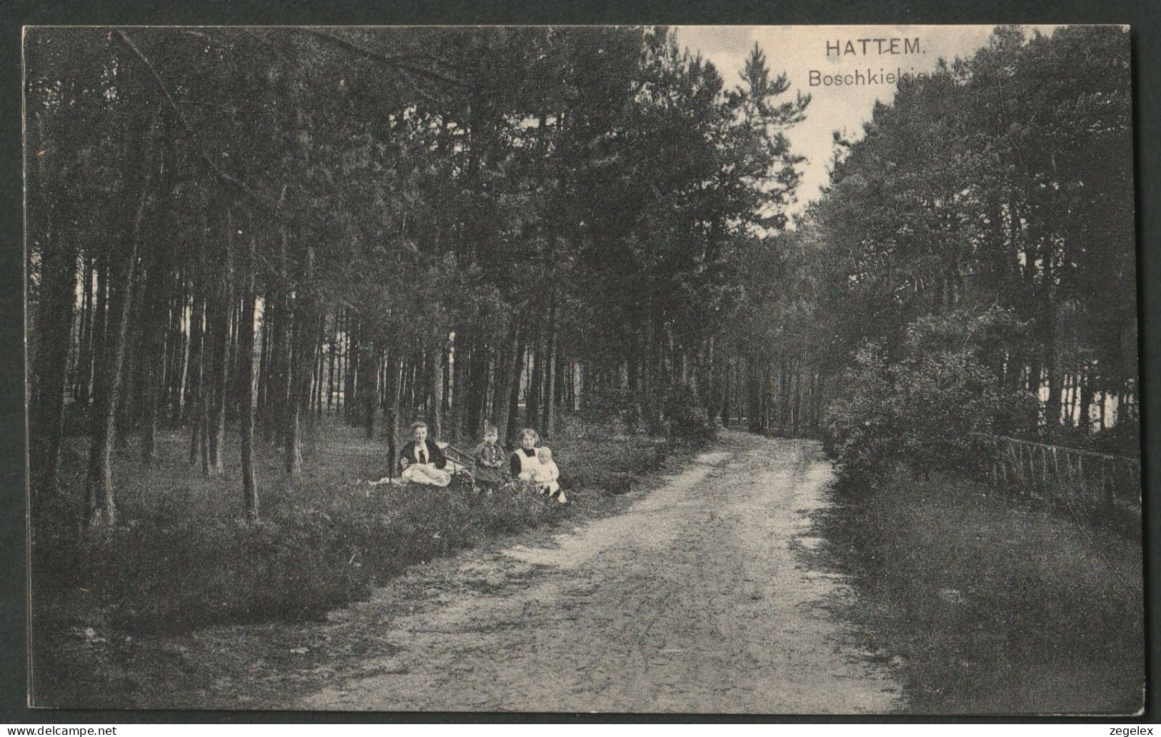 Hattem - Boschkiekje Met Picknickend Gezin - Hattem