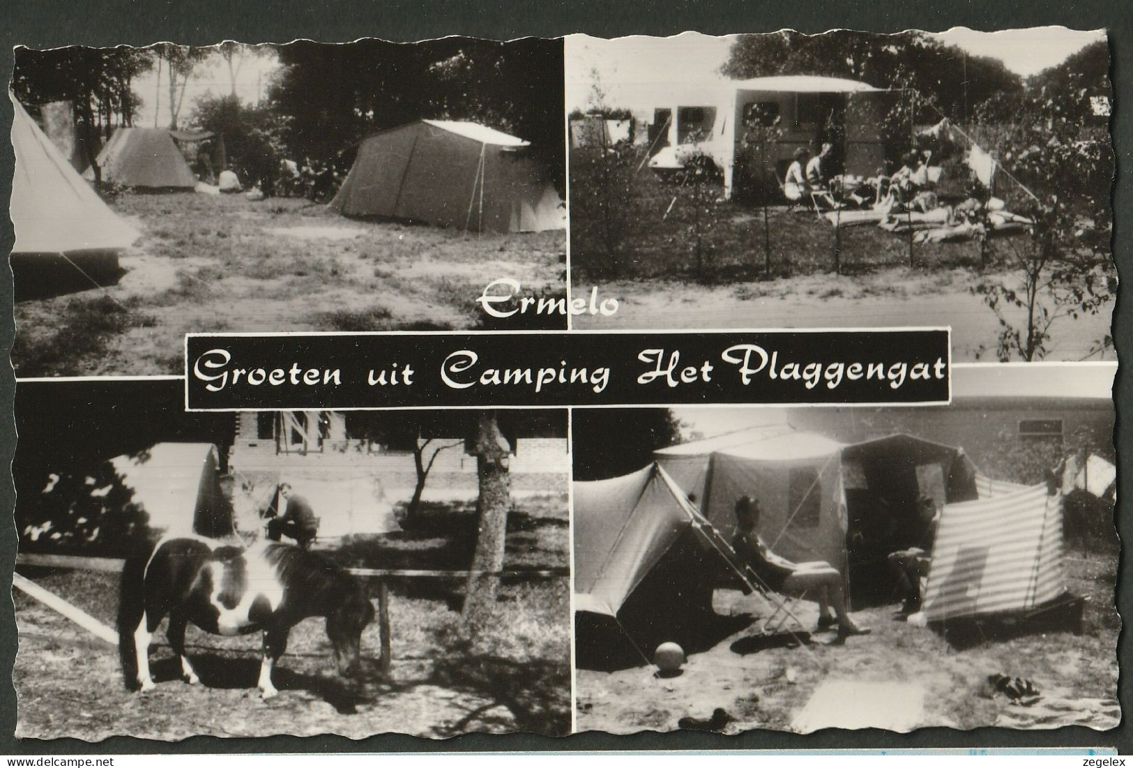 Ermelo 1968 - Camping Het Plaggengat - Pony, Paard, Horse - Ermelo