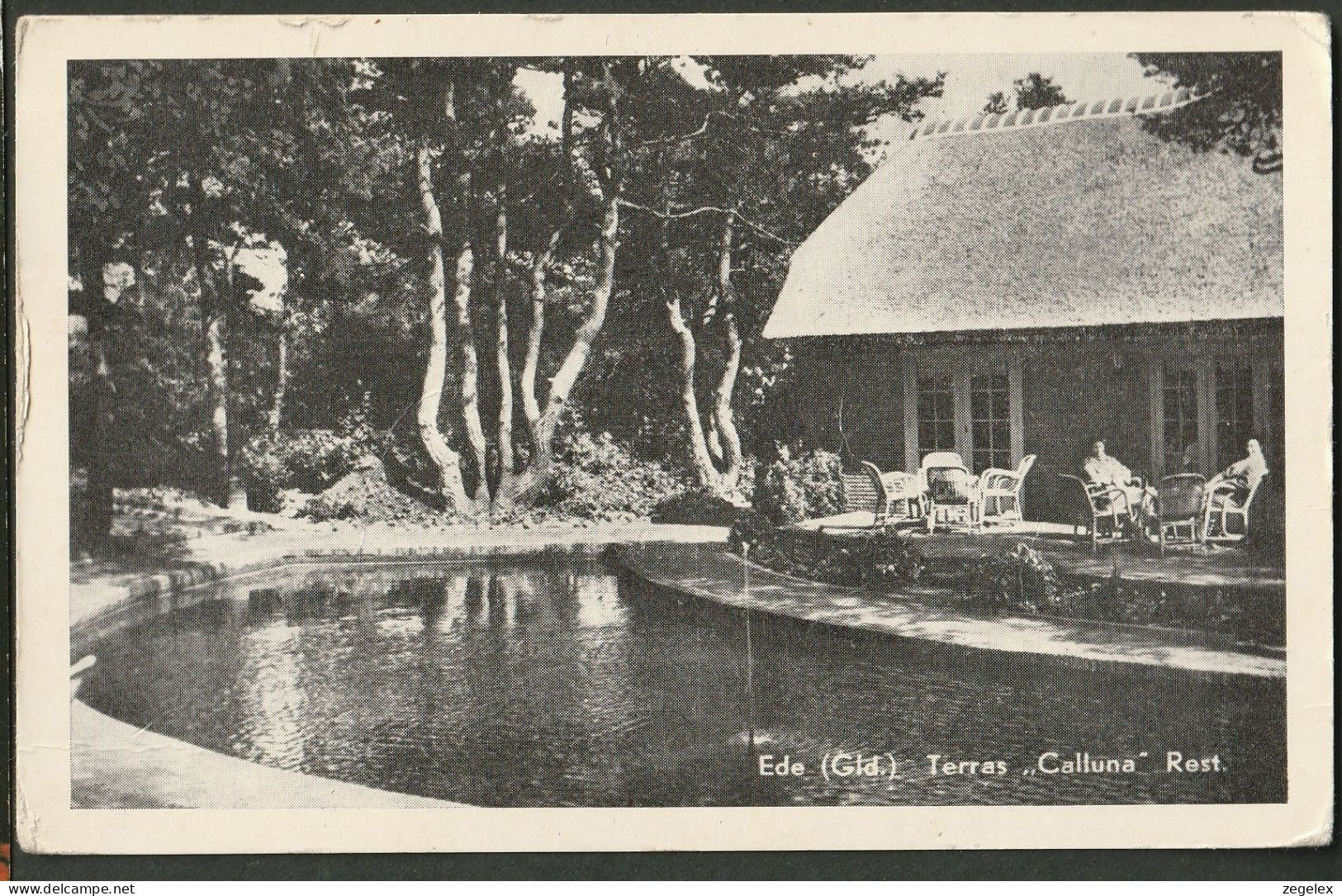 Ede (gld) 1957 Terras Van Restaurant Calluna  - Ede