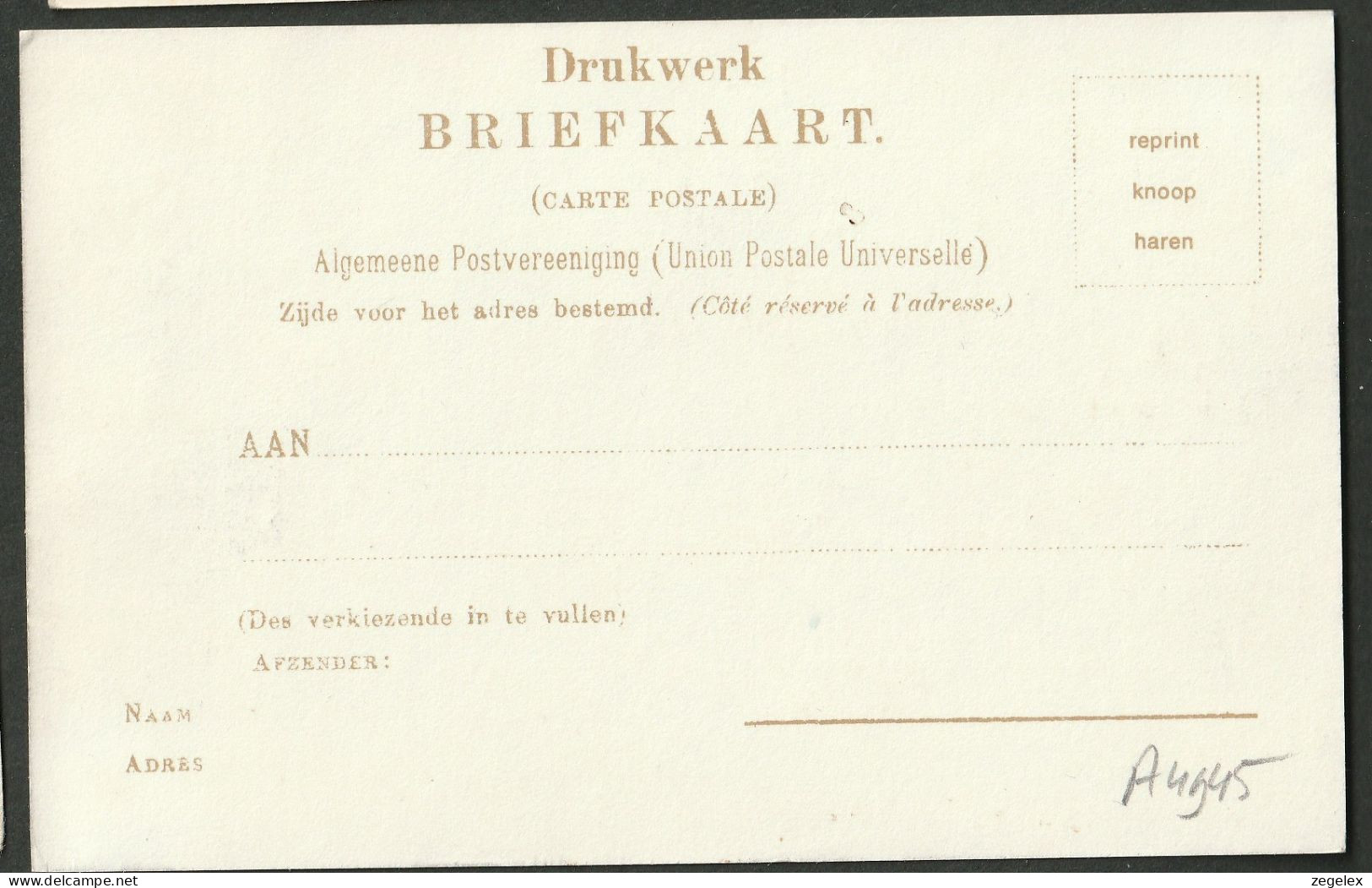 Bolsward - Groote Dijkakker - Reprint - Bolsward