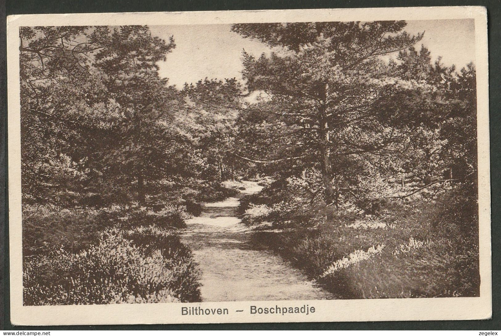 Bilthoven 1930 - Boschpaadje - Bilthoven