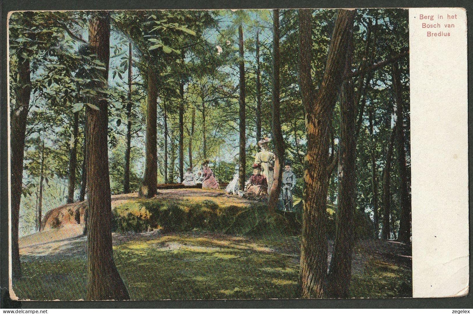 Naarden 1905 - Berg In Het Bosch Van Bredius Met Dames Met  Chique Hoeden - Naarden