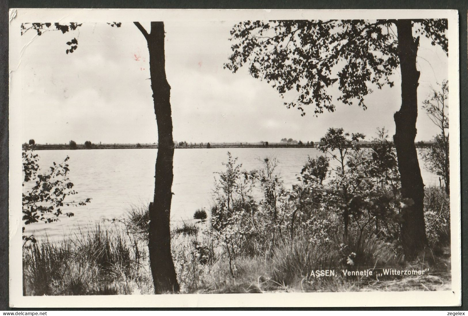 Assen 1964 - Vennetje "Witterzomer" - Assen