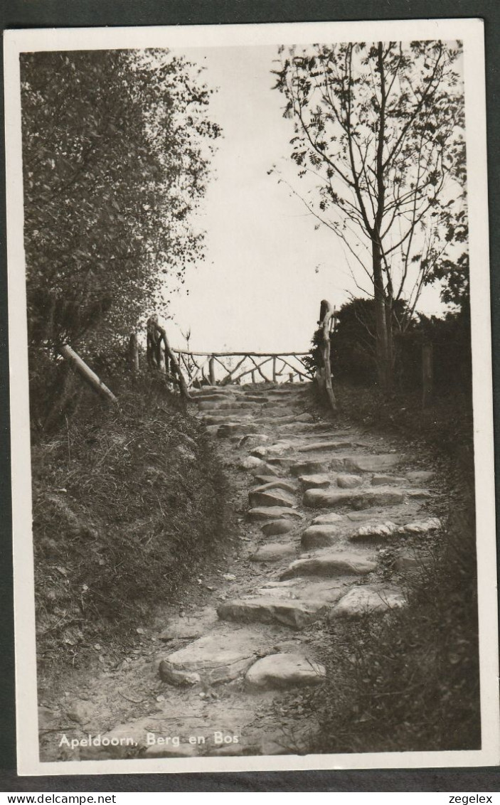 Apeldoorn 1948 - Berg En Bos - Apeldoorn