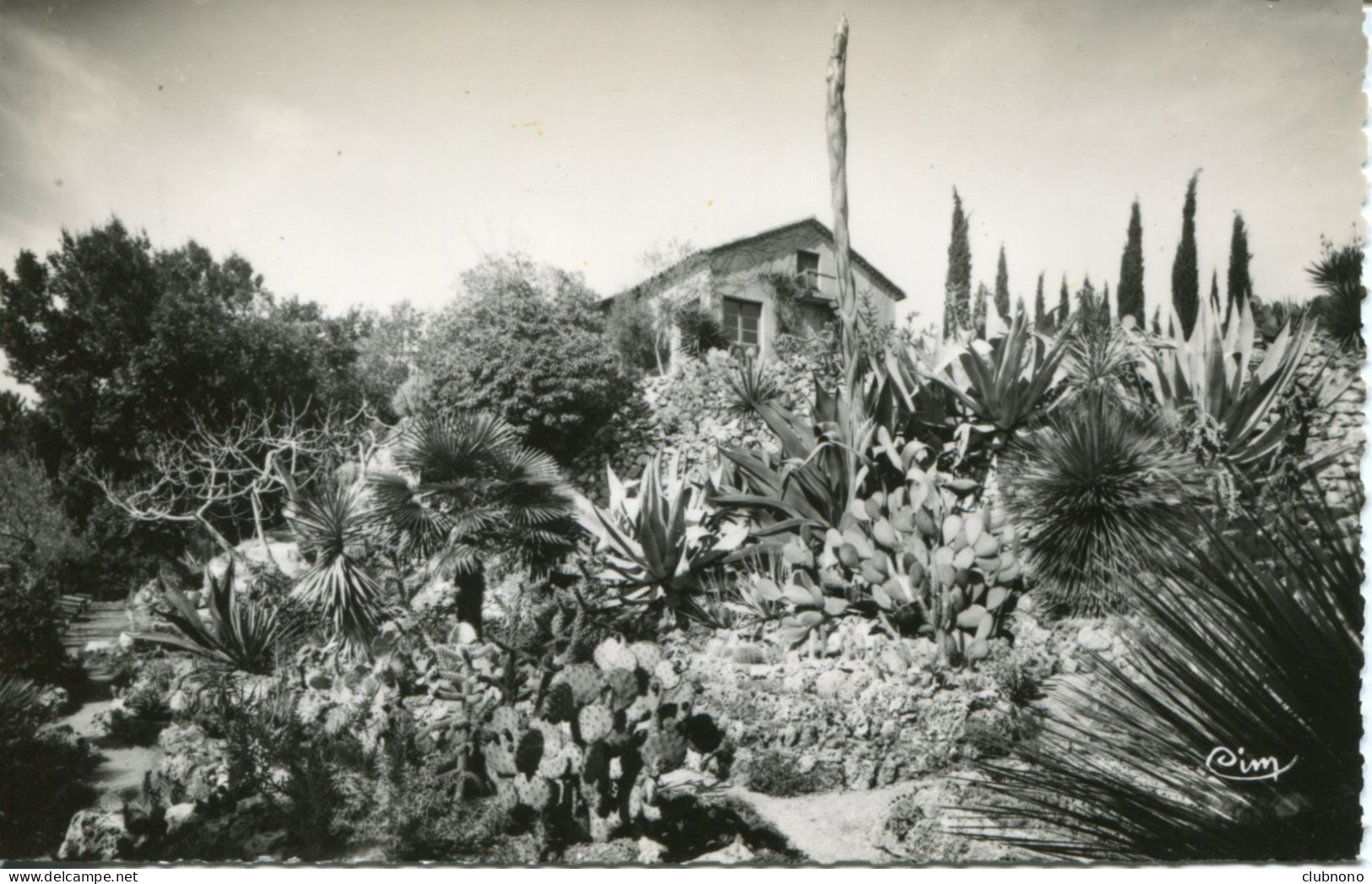 CPSM -  LA ROQUEBRUSSANNE - PARTIE EXOTIQUE DU JARDIN"LES ROCAILLES" - La Roquebrussanne