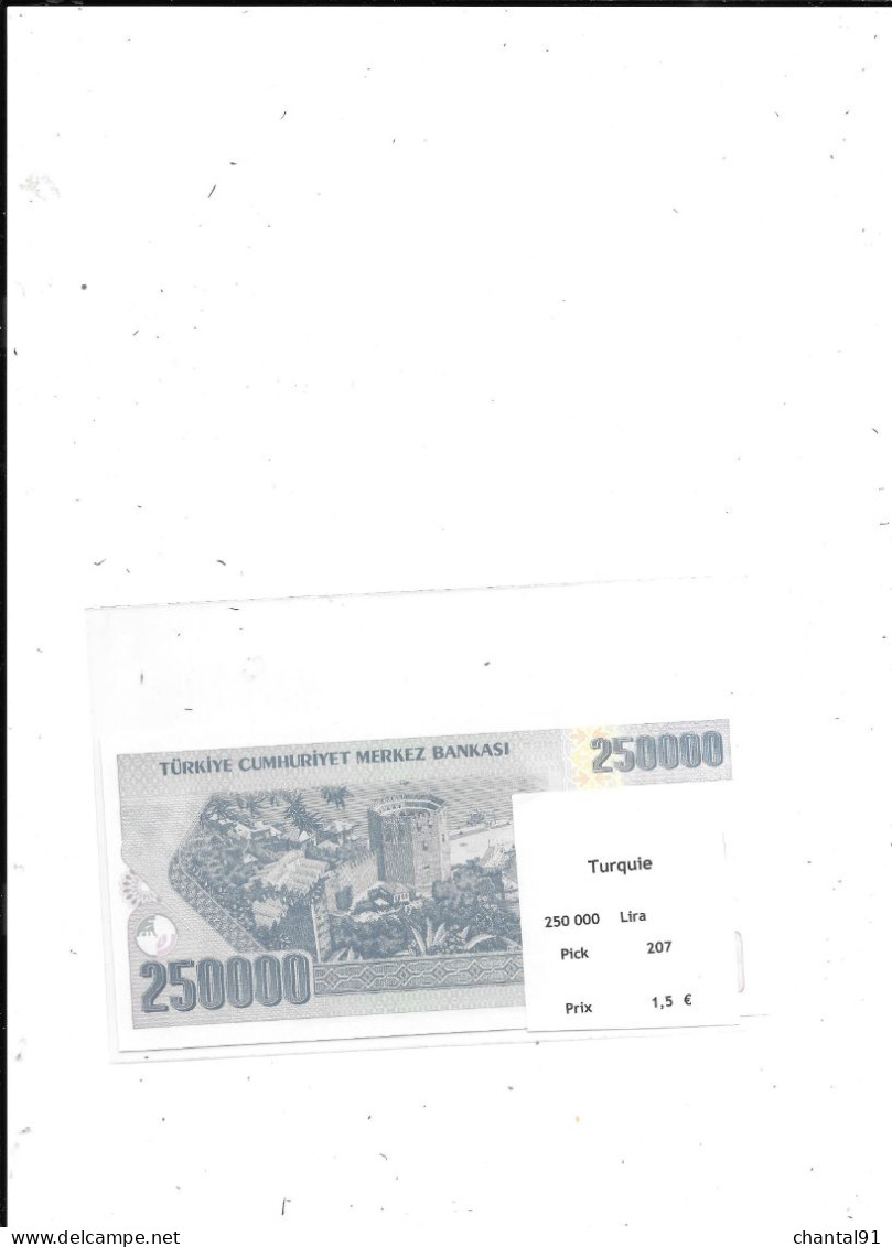 TURQUIE BILLET 250 000 LIRA PICK 207 - Turkije