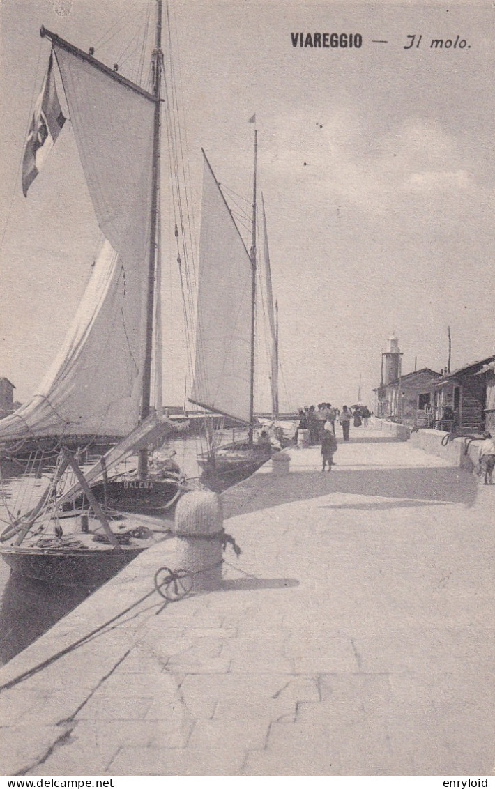 Viareggio Il Molo 1910 - Viareggio