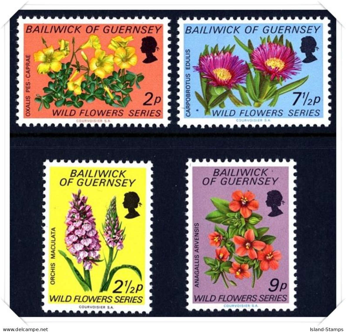 1972 Wild Flowers Unmounted Mint - Guernesey