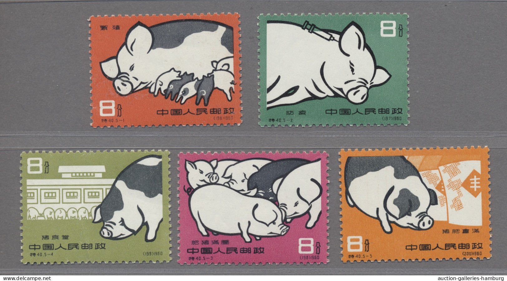 China (PRC): 1960, "pigs" Luxus Quality For This Kind Of Issue ÷ 1960, Schweinez - Unused Stamps