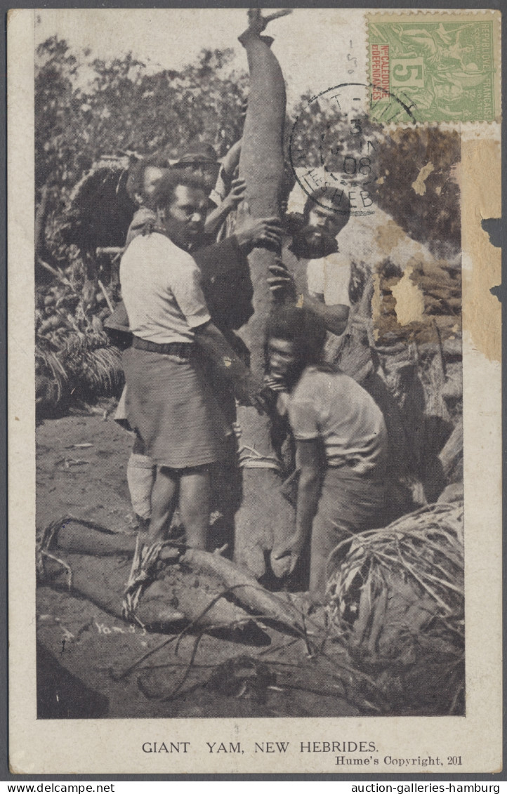 New Hebrides: 1908, June 3, Ppc Depicting The Root Of A Huge YAM Franked 5c Fren - Other & Unclassified