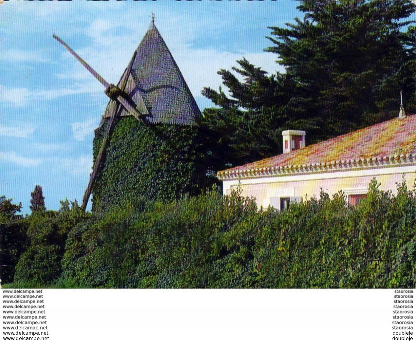 D17  ILE D'OLERON   ST PIERRE D'OLERON  Le Moulin De Bel Air - Saint-Pierre-d'Oleron