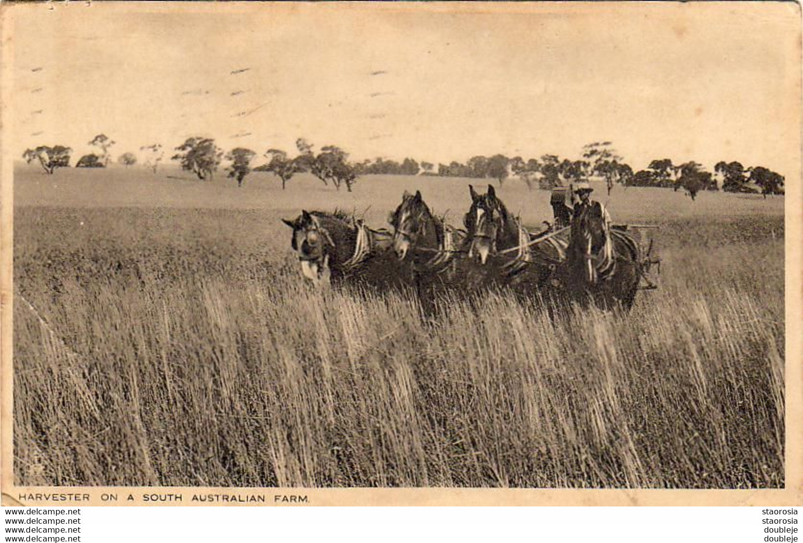 AUSTRALIA  HARVESTER ON A SOUTH AUSTRALIAN FARM - Otros & Sin Clasificación