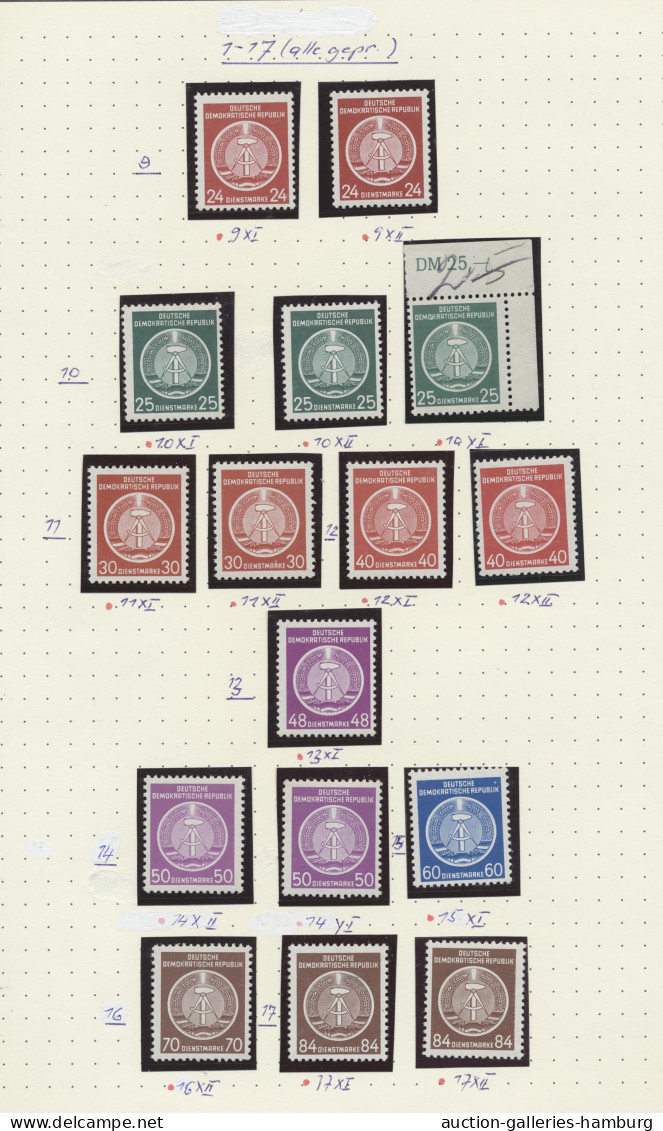 DDR - Dienstmarken: 1954-1966, Etwas Spezialisierte Und Reichhaltige Sammlung Au - Other & Unclassified