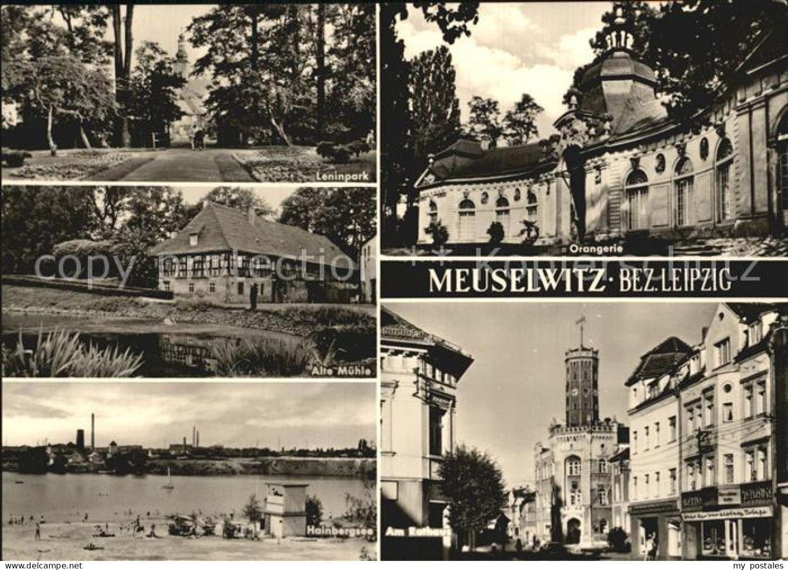 72396664 Meuselwitz Leninpark Orangerie Hainbergsee Rathaus Meuselwitz - Meuselwitz