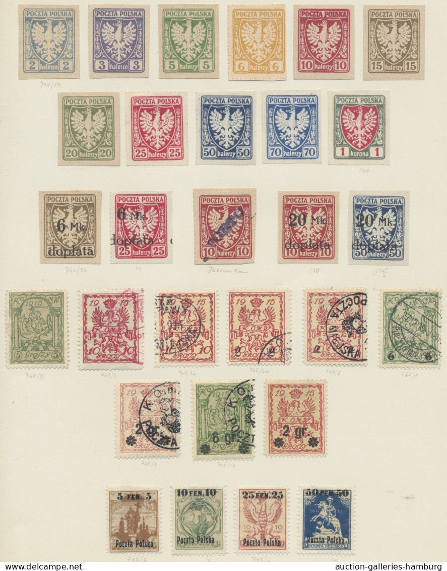 Poland: 1860-1938, Interessante Sammlung */gestempelt Auf Selbstgezeichneten Bor - Used Stamps
